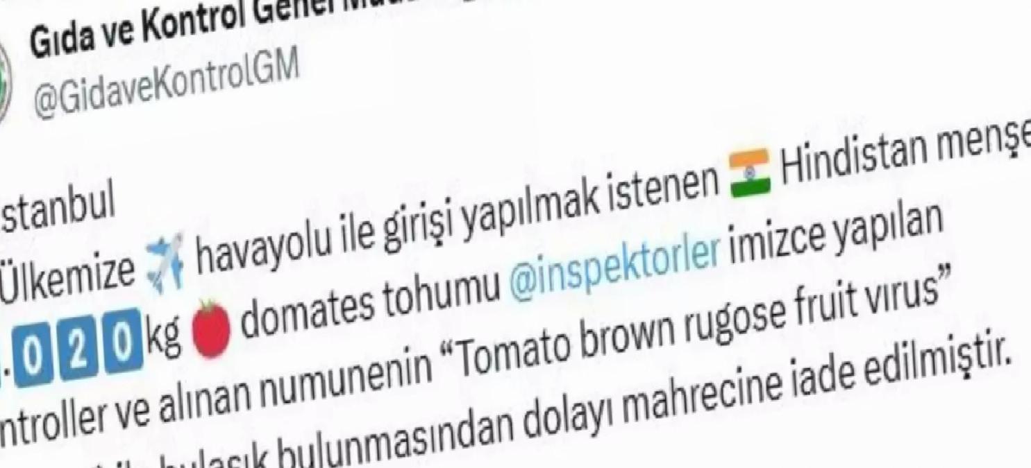 Virüslü Domates Tohumu İade Edildi