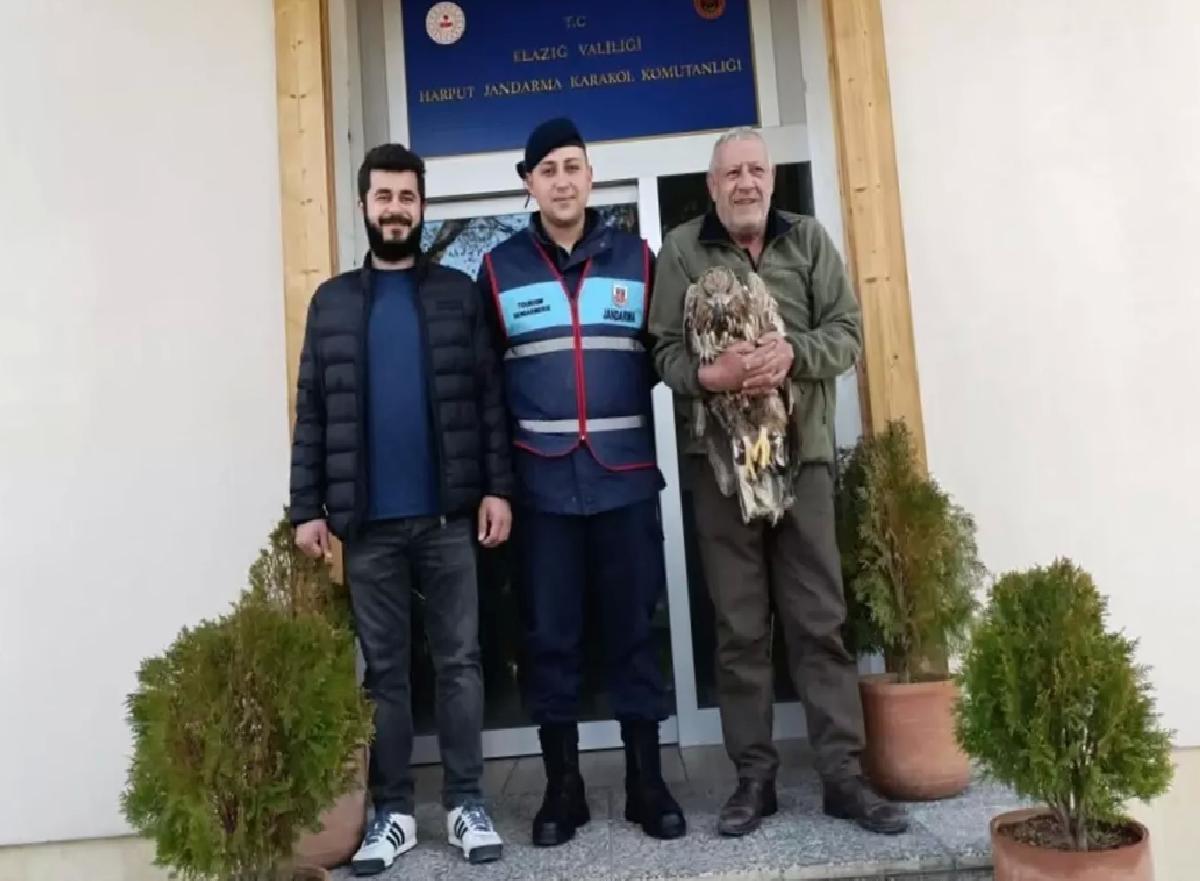 Yaralı Kaya Kartalı Tedavi Ediliyor