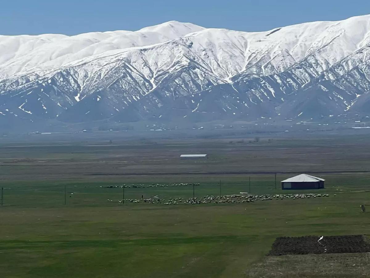 Yüksekova’da Çoban Sıkıntısı