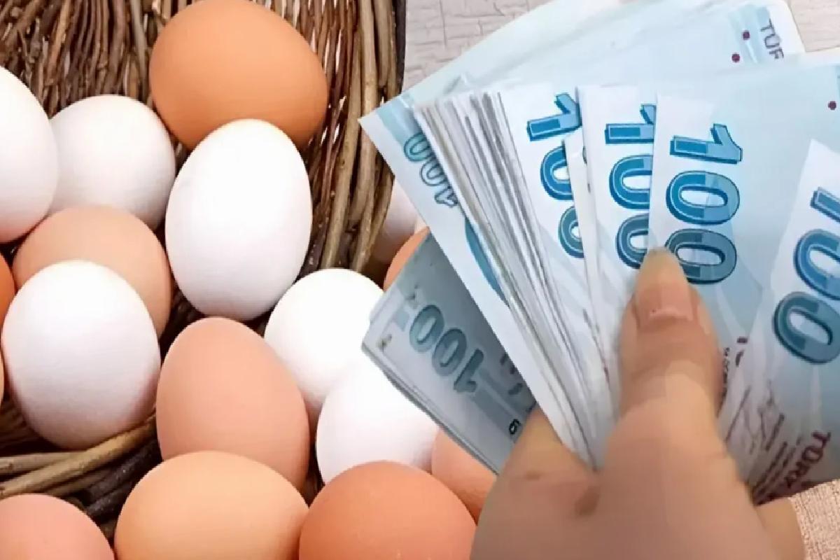 Yumurta, altından çok kazandırdı