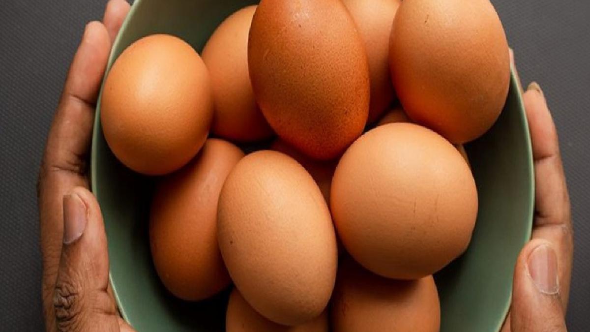 Yumurta fiyatı 9 ayda ikiye katladı