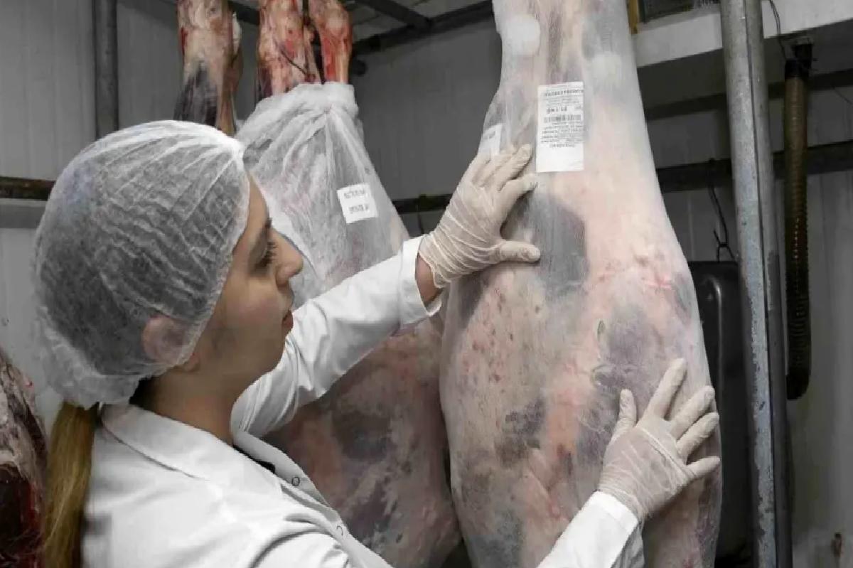 2025 Kurban Kesim Ücretleri Açıklandı