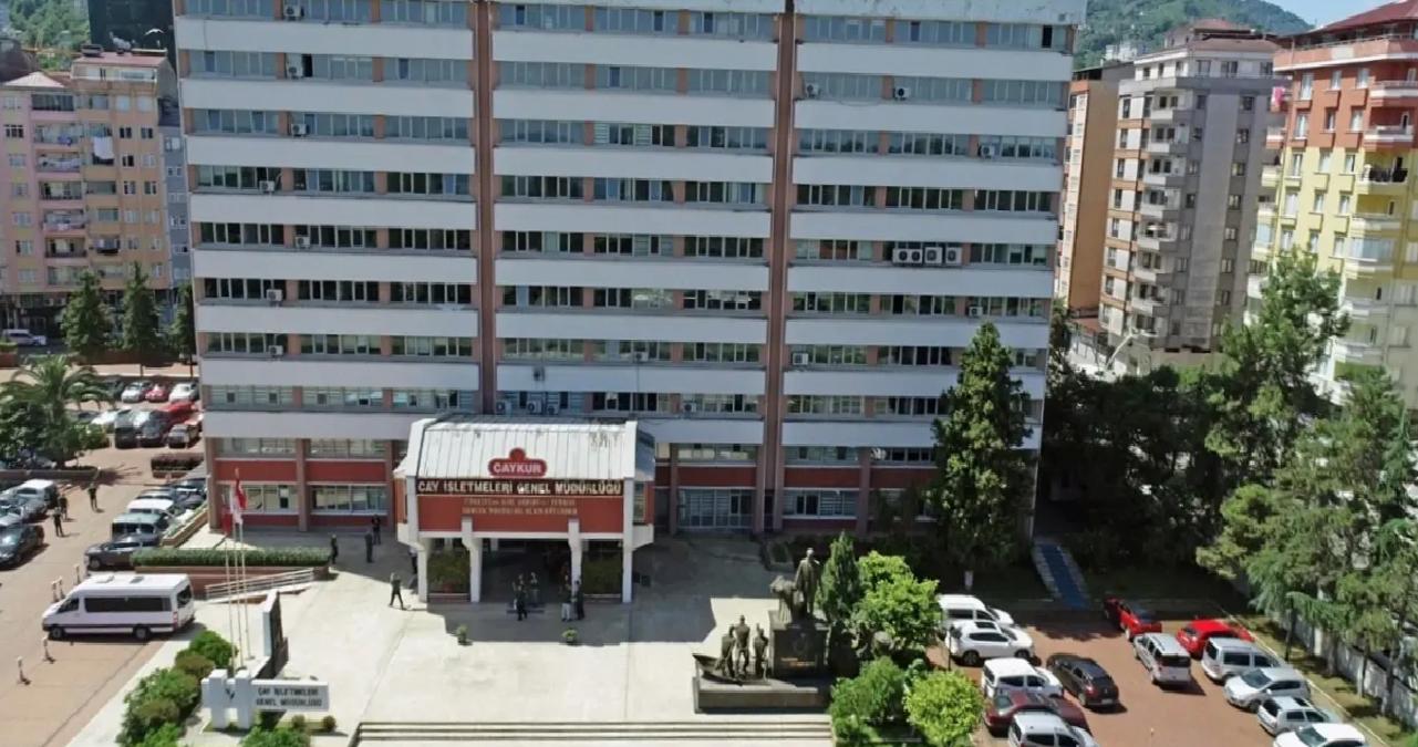 2025 Yaş Çay Kampanyası Başladı