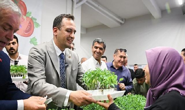 400 bin yazlık fide üreticiyle buluşuyor