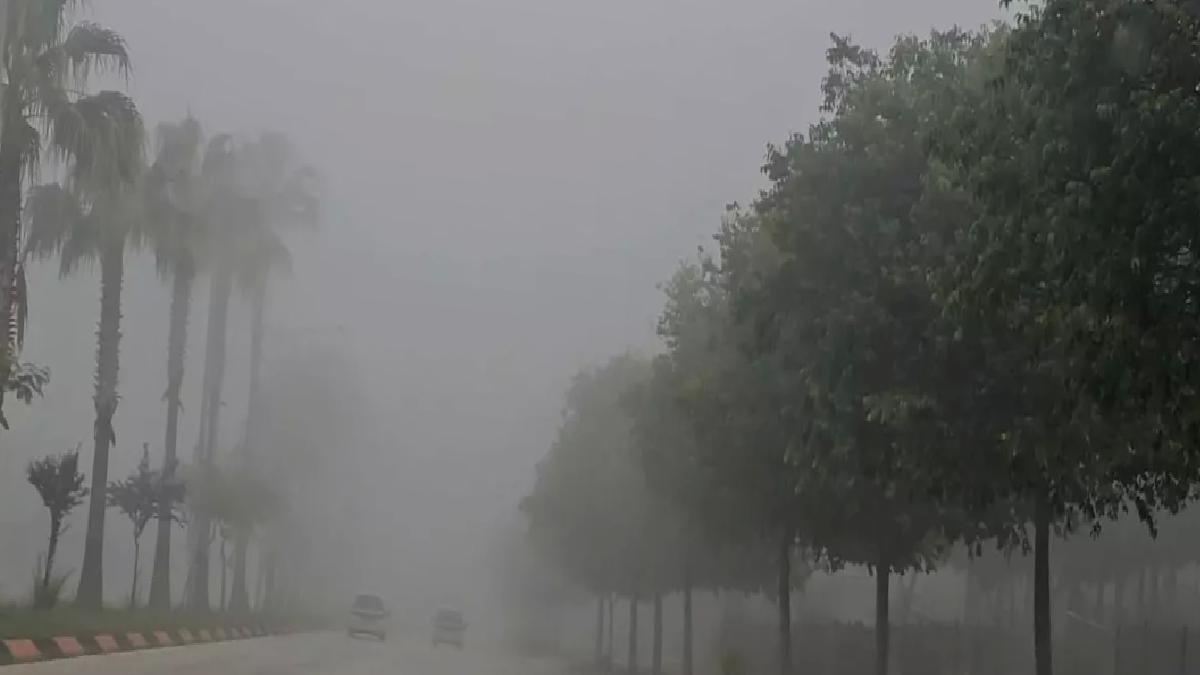 Adana’da Sabah Sisi