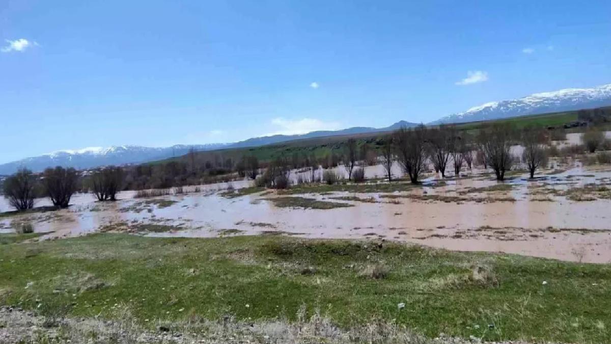 Ağrı’da Murat Nehri Taştı