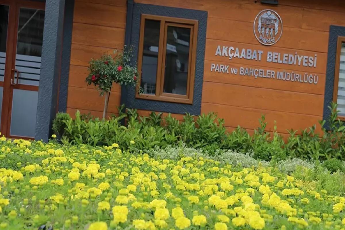 Akçaabat’ta 100 Bin Mevsimlik Çiçek Üretildi