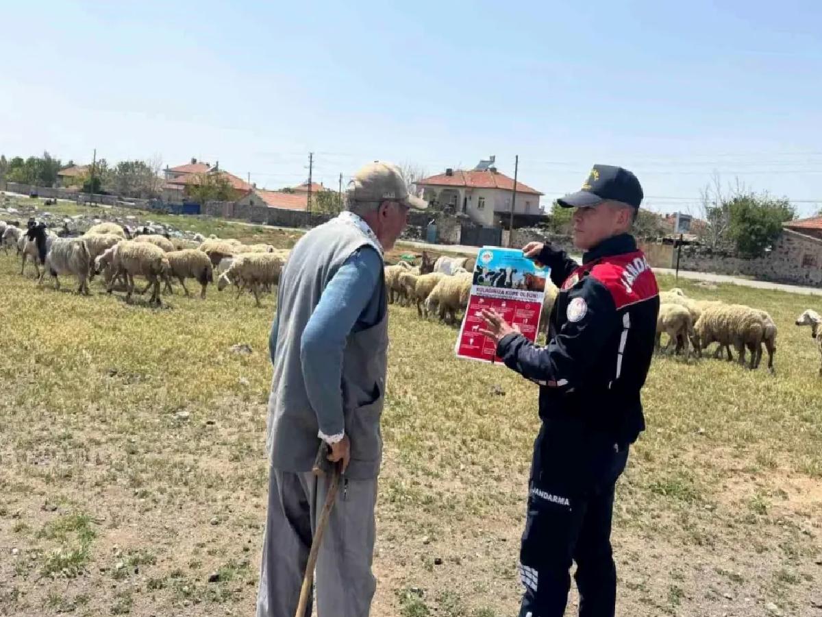 Aksaray’da Kurban Bayramı Hazırlıkları