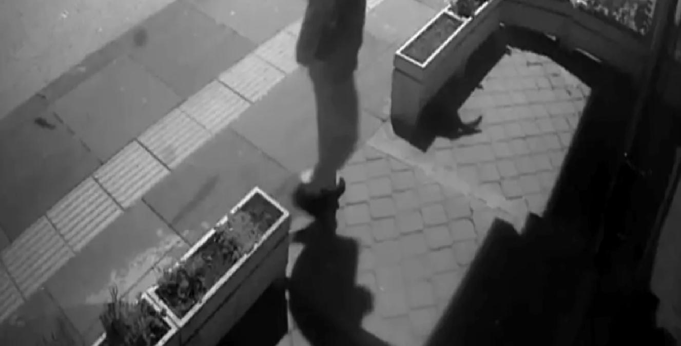 Ankara’da Kedi Hırsızlığı Kamerada