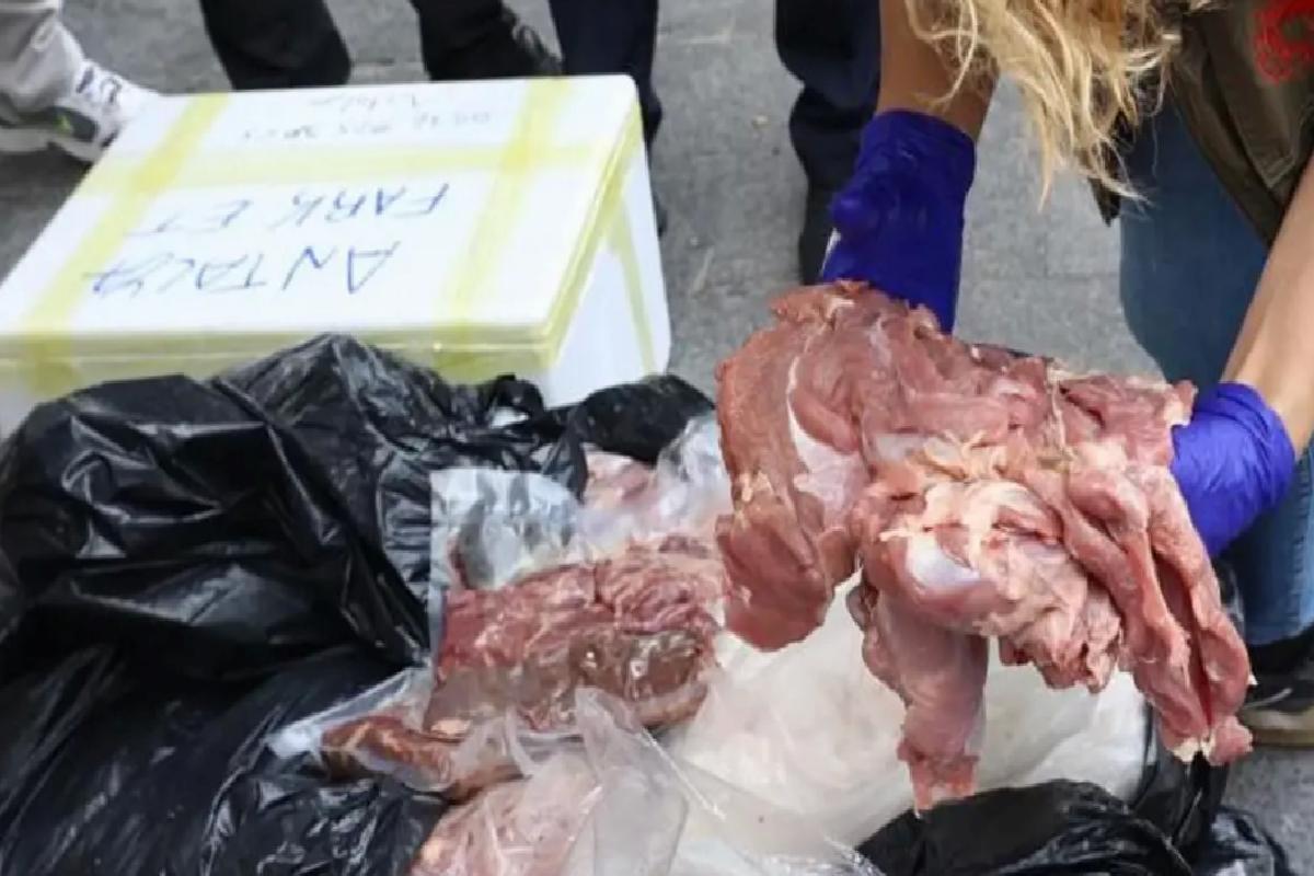 Antalya’da Usulsüz Et Taşımacılığı Tespit Edildi