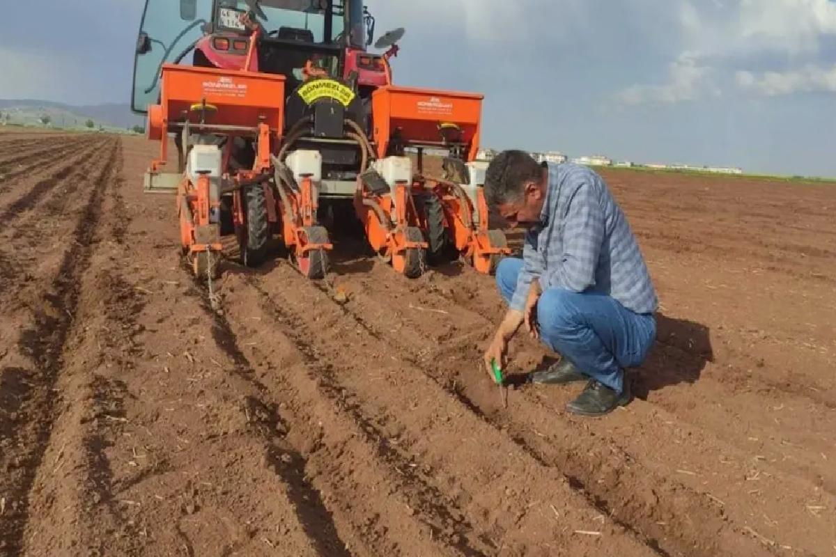 Araban’da Pamuk Ekimi Başladı