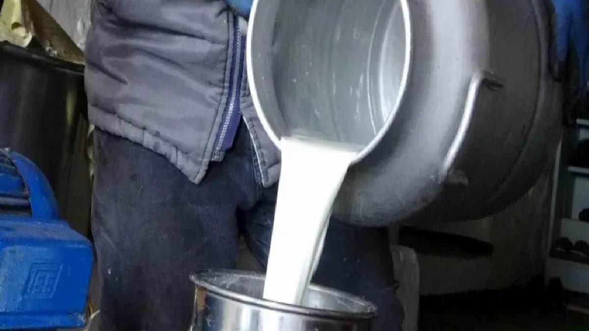 Ardahan’da Süt Üreticileri Krizde