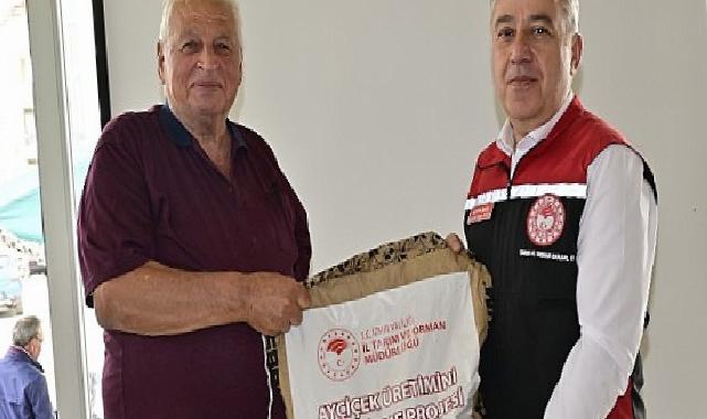 Ayçiçeği Üreticilerine Yerli Tohum Desteği