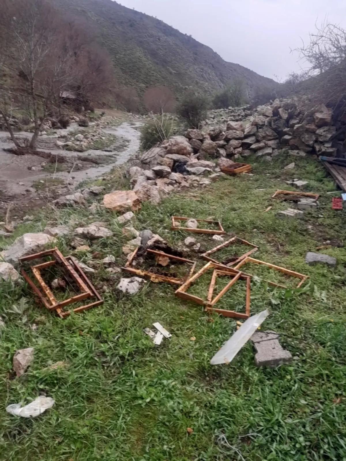 Ayılar Arı Kovanlarına Saldırdı