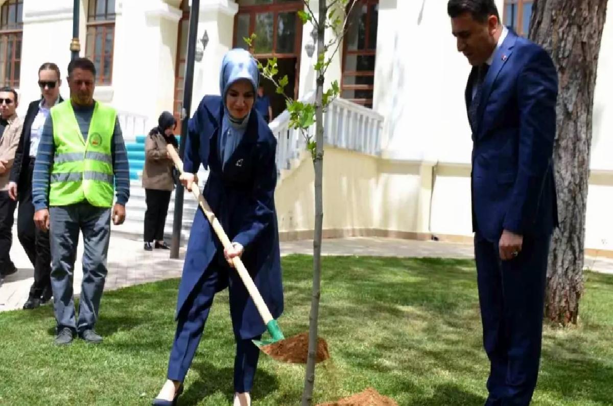 Bakan Göktaş, Bilecik’te Çınar Fidanı Dikti