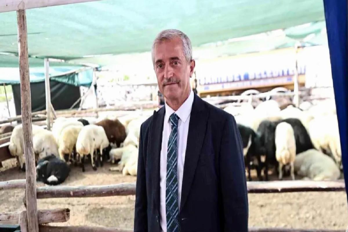 Başkan Tahmazoğlu, Kurban Bayramı’nda Fahiş Fiyat Artışına Müsaade Etmeyecek
