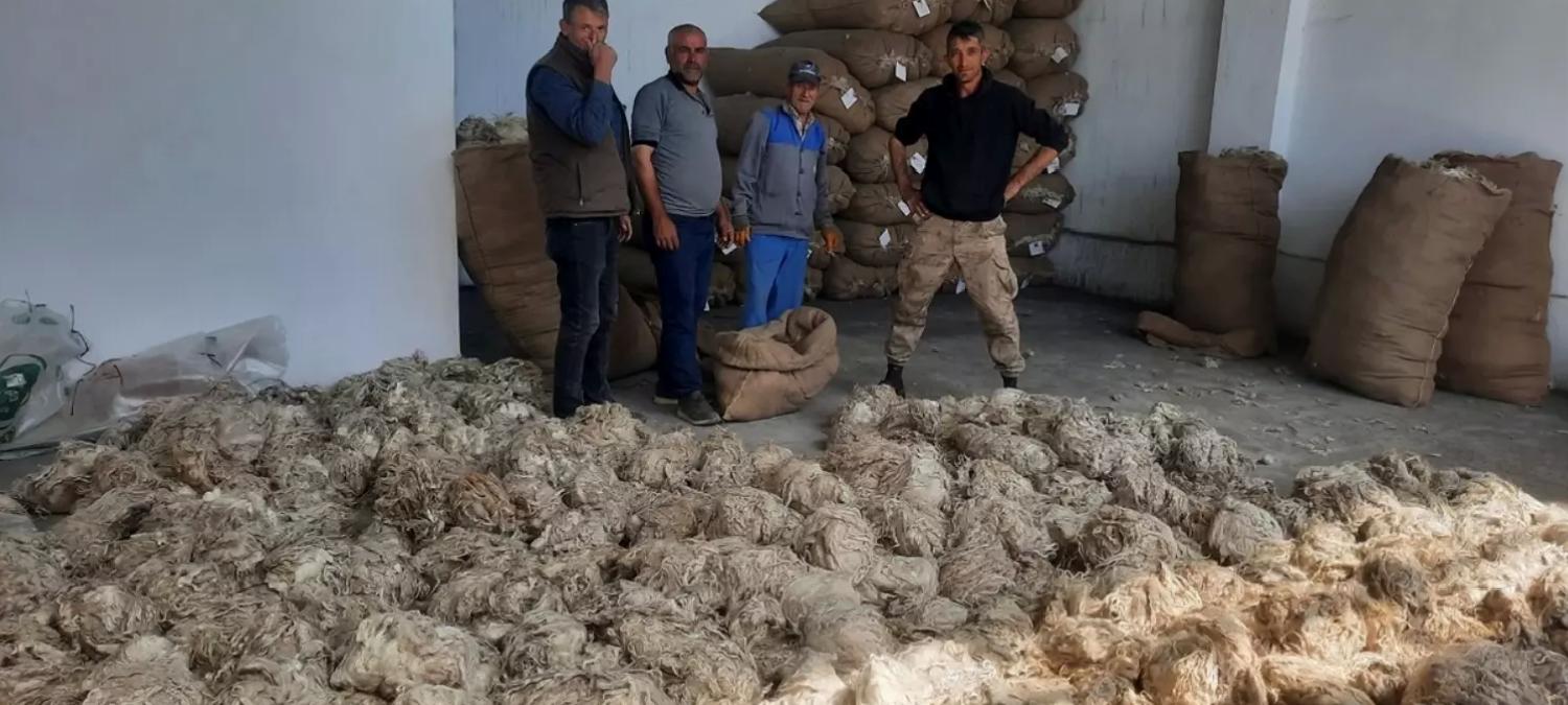 Beypazarı’nda Tiftik Alımı Başladı