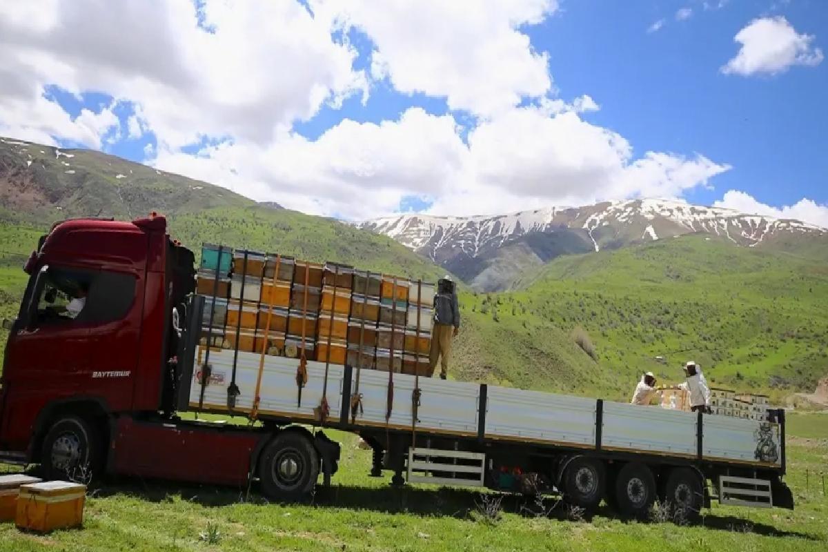 Bingöl Arıcıları İlkbahar İçin Dönüş Yolda