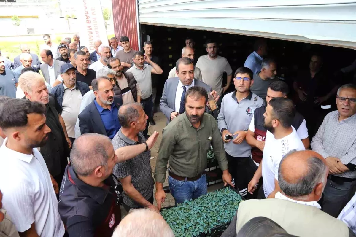 Bingöl’de 442 Bin Sebze Fidesi Dağıtıldı