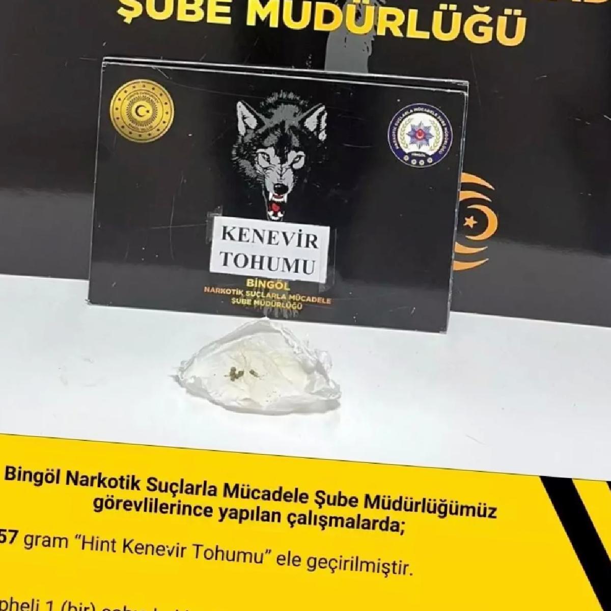 Bingöl’de Narkotik Uygulaması