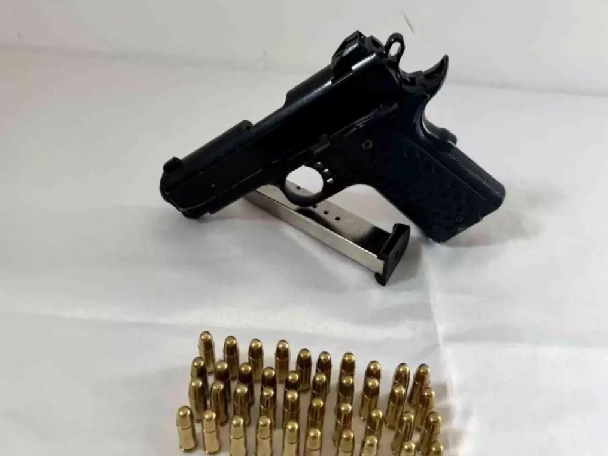 Bingöl’de Silah Operasyonu: 2 Silah Ele Geçirildi