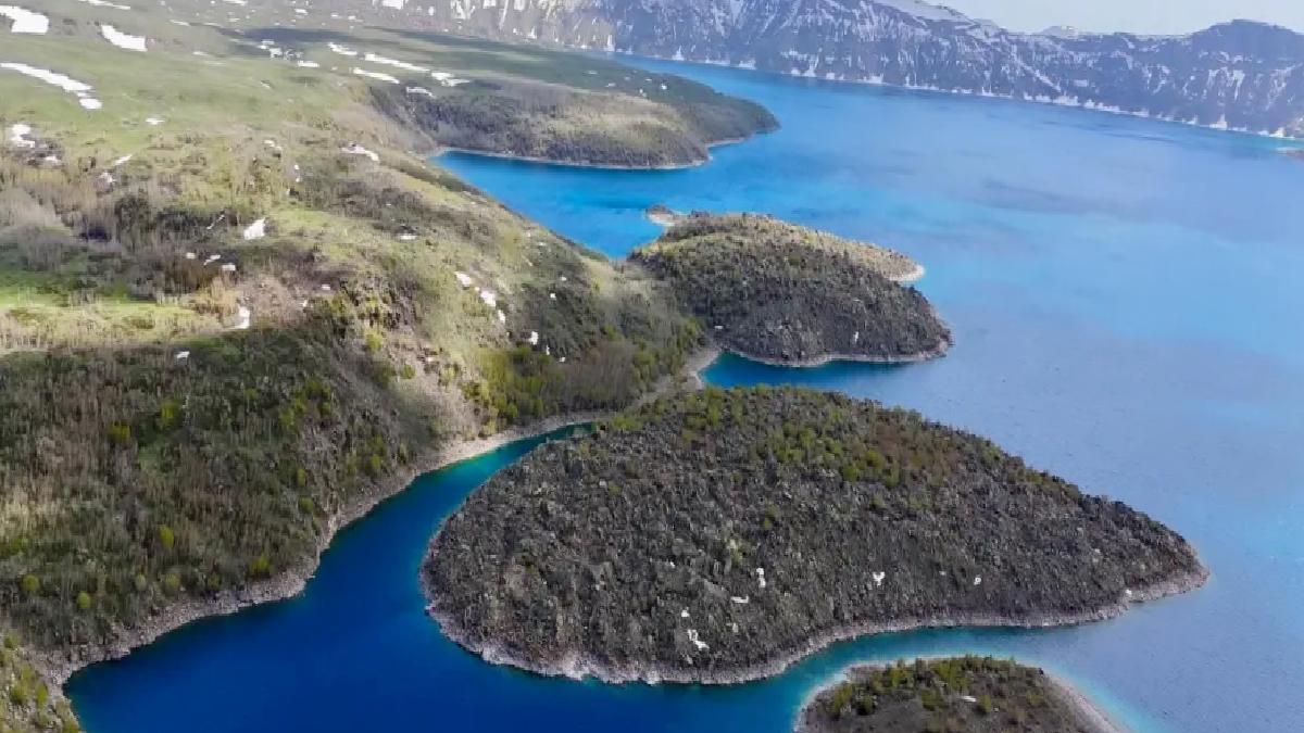 Bitlis Valiliği’nden Bozayı Uyarısı