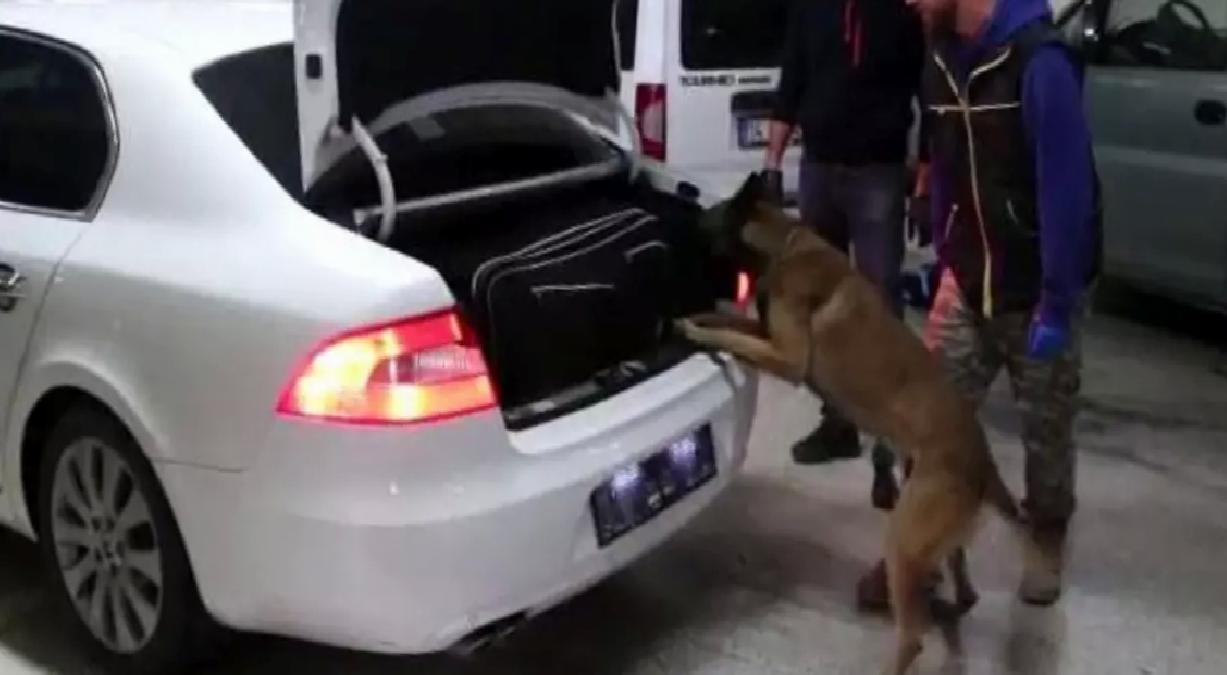 Bolu’da 9 Kaçakçılık Operasyonu