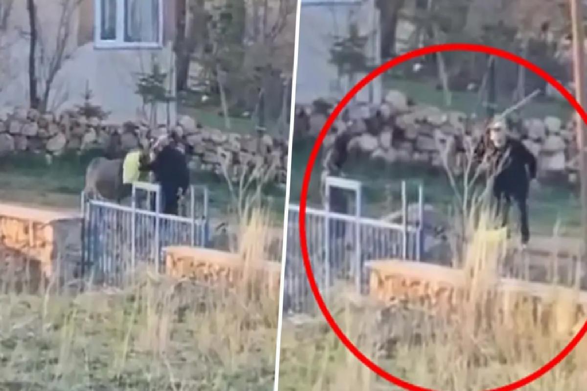 Bunu yapan 80 yaşındaki bir şahıs! Eşeğe sopalı eziyet kamerada