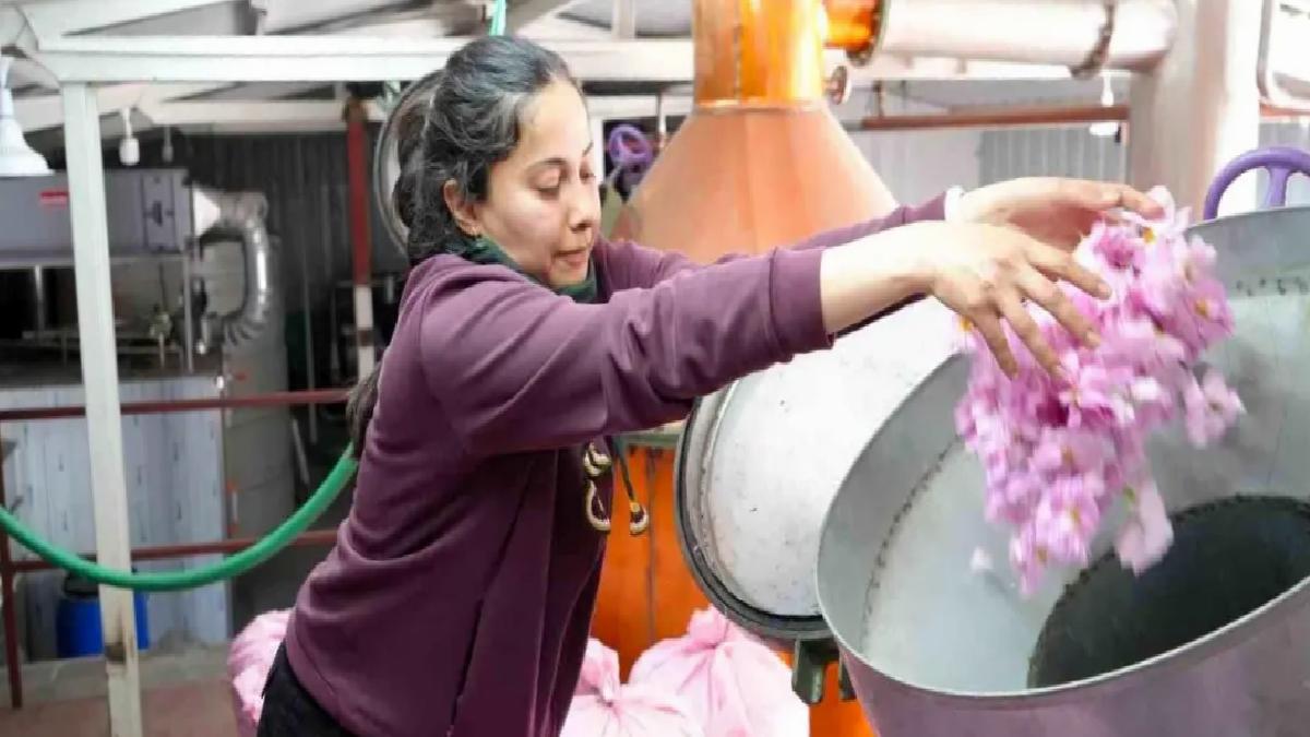 Burdur’da Gül Hasadı Küresel Isınmadan Etkilendi