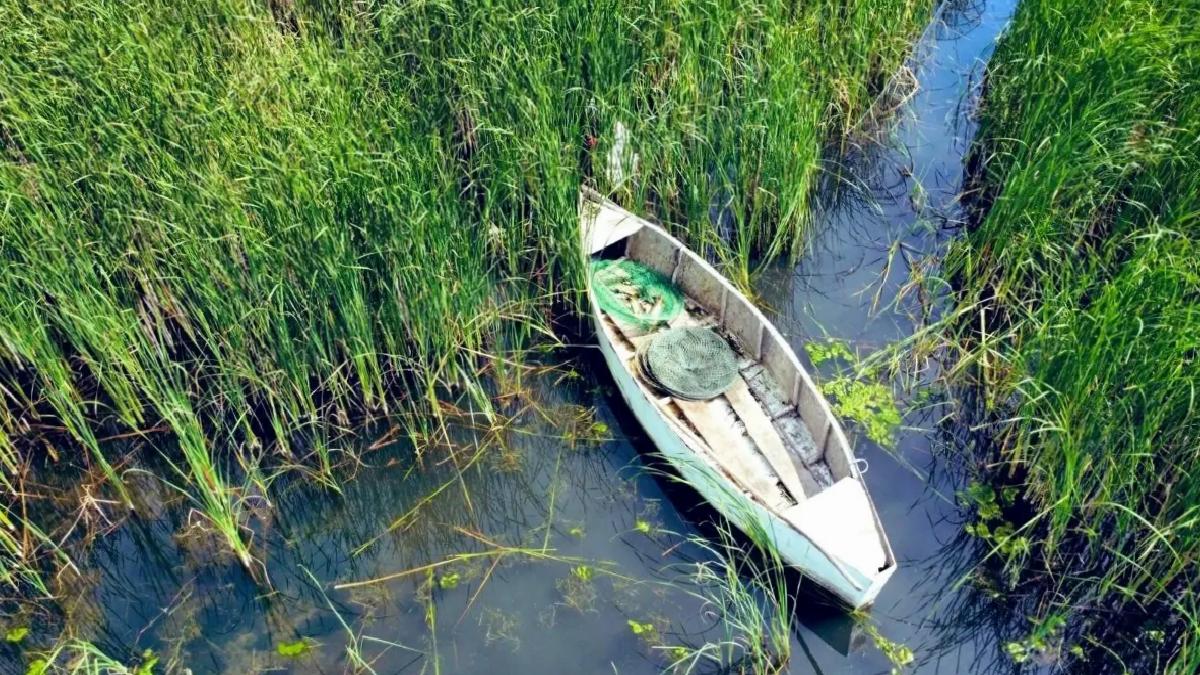 Bursa’da Kaçak Avcılığa Darbe: 466 Kilo Balık Ele Ge geçirildi