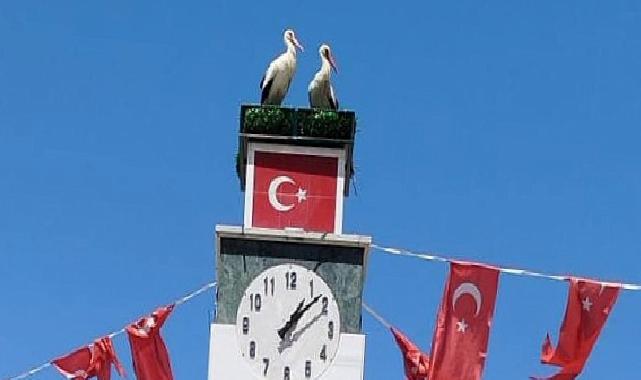 Can ve Canan Leylek Yuvalarına Geldi