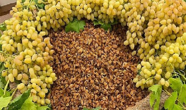 Çekirdeksiz kuru üzüm, kuru kayısı ve kuru incir ihracatında 1 milyar dolar aşıldı