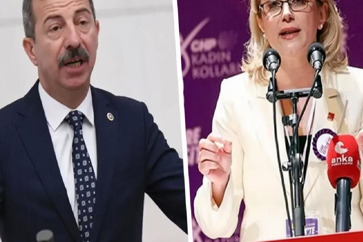 CHP’li Asu Kaya’dan, İYİ Partili Hasan Toktaş’ın skandal mesajı hakkında ilk açıklama