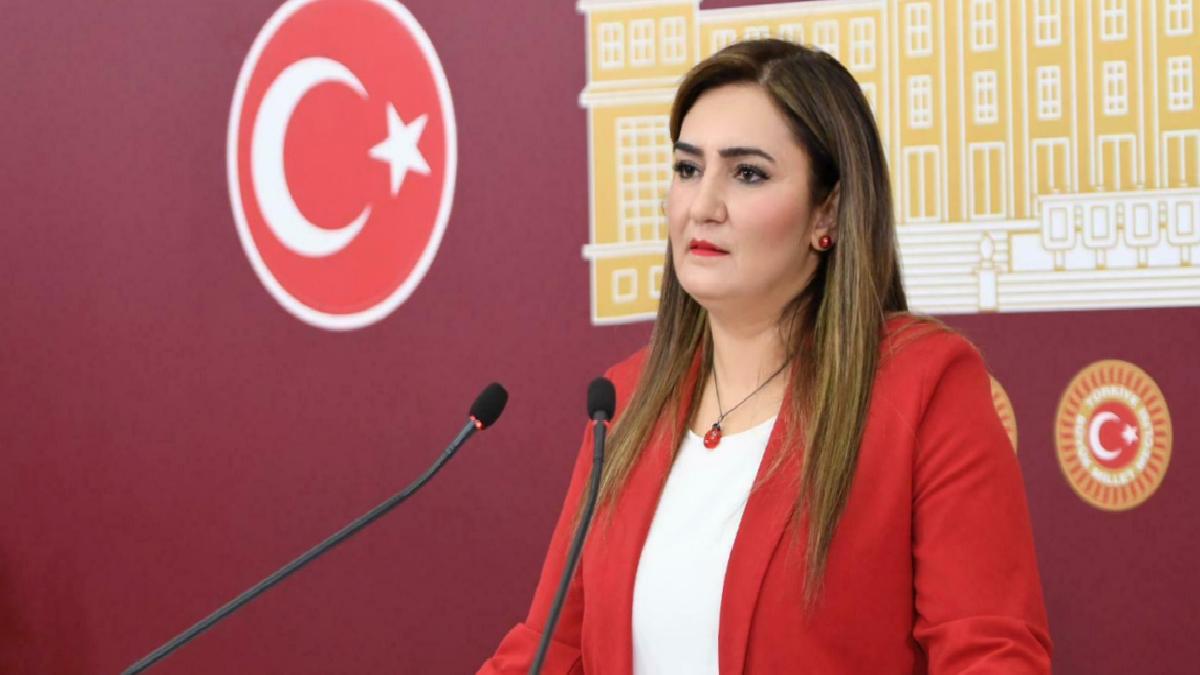 CHP’li vekil Sevda Erdan Kılıç, kendi ‘ölüm haberini’ yalanladı