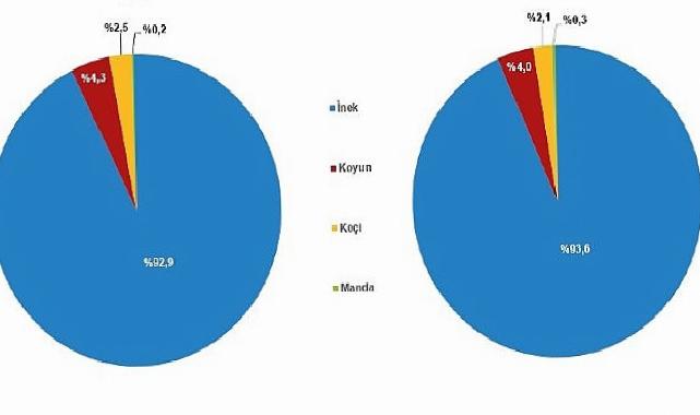 Çiğ Süt Üretim İstatistikleri, 2024