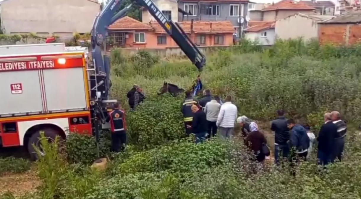 Çukurda Kalan At Vinçle Kurtarıldı