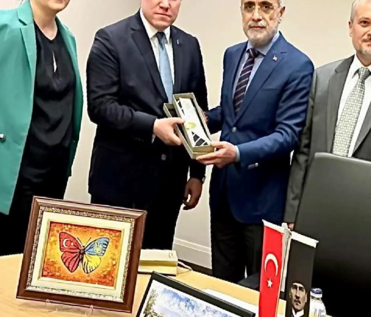 Cumhurbaşkanı Başdanışmanı Topçu: “Hindistan’ın Pakistan’a yaptığı bu kışkırtıcı saldırısını kınıyoruz”
