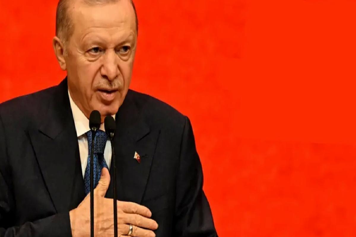 Cumhurbaşkanı Erdoğan: Eline bir mikrofon alan kendini gazeteci sanıyor