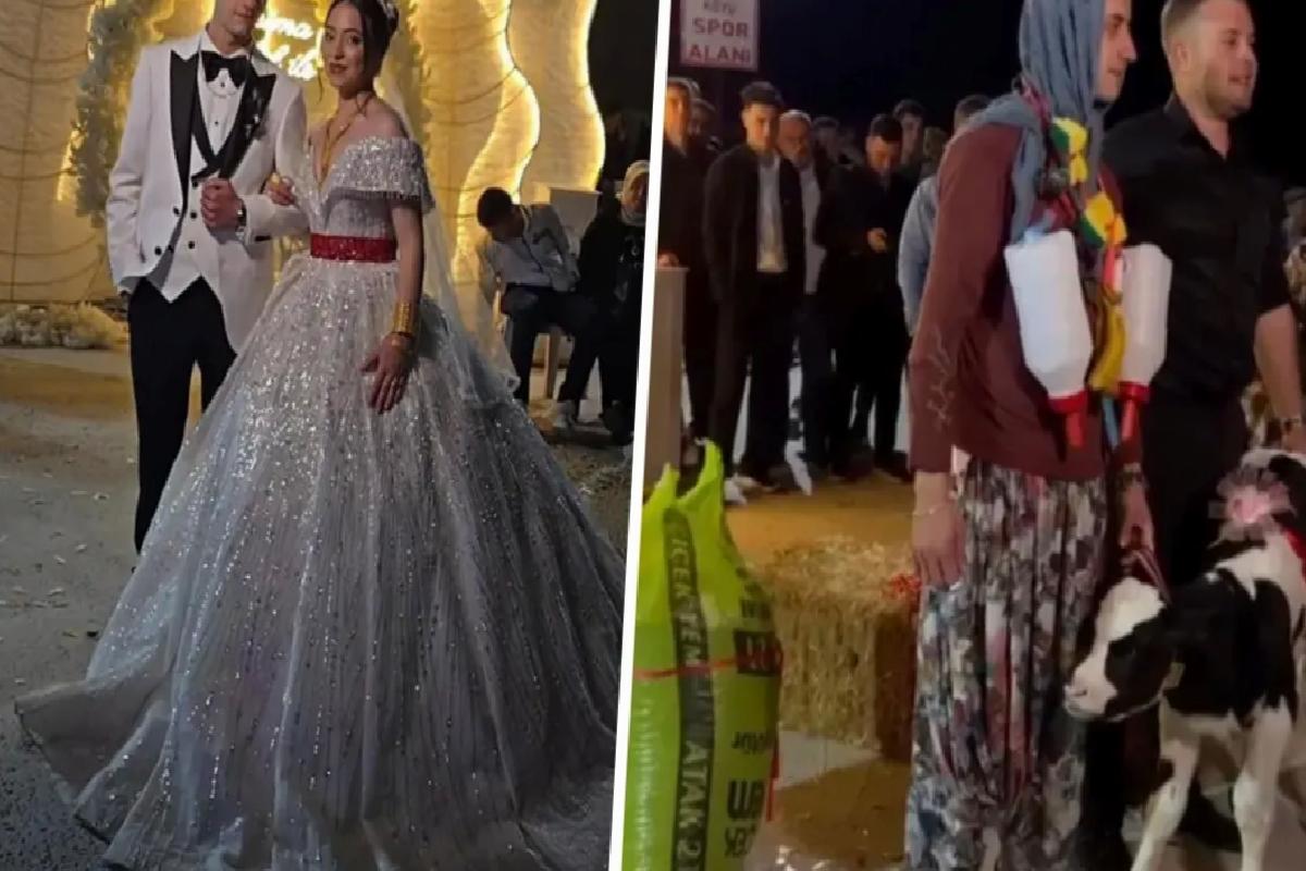 Damat çaresizce bekledi, düğünde takılanlar herkesi şoke etti