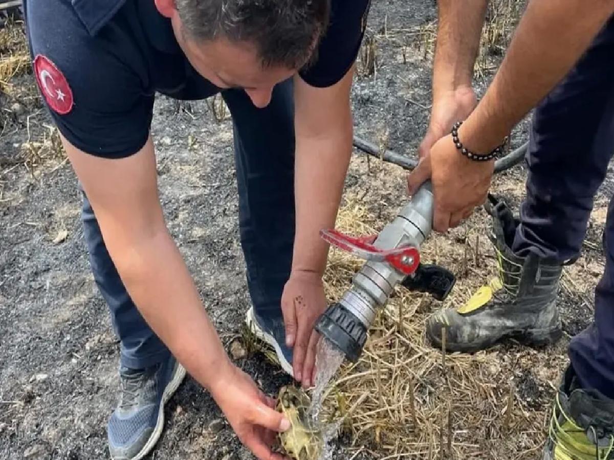 Defne’de Bahçe Yangını Söndürüldü