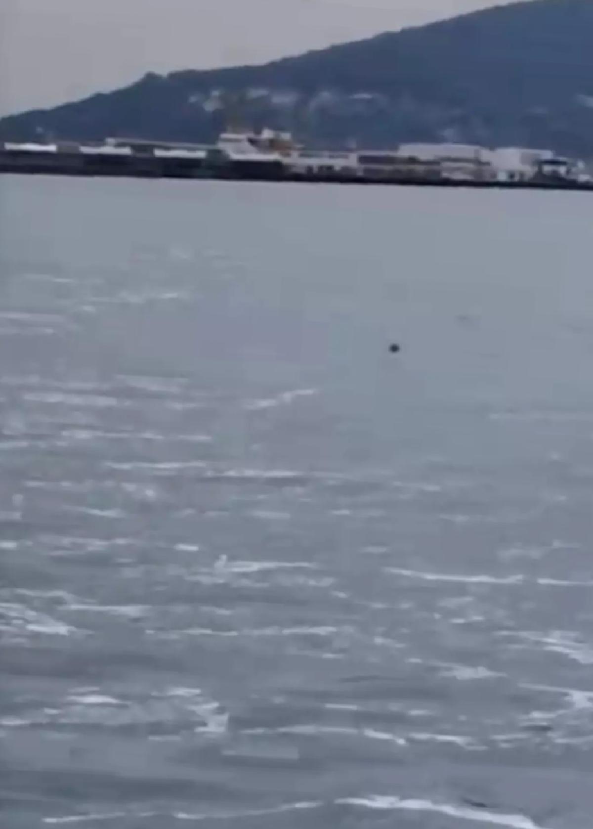 Denizden Kurtarılan Kadın