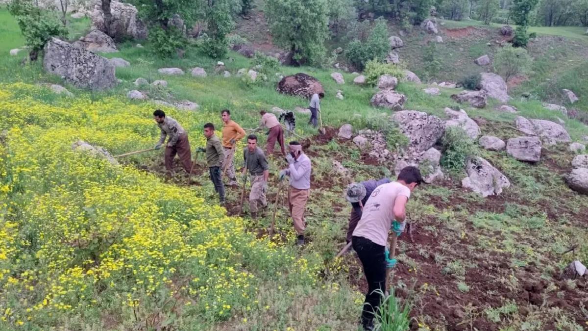 Derecik’te İmece Geleneği Devam Ediyor