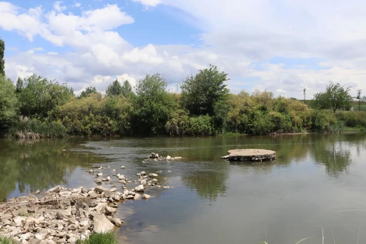 Dicle Nehri’nde Toplu Balık Ölümleri