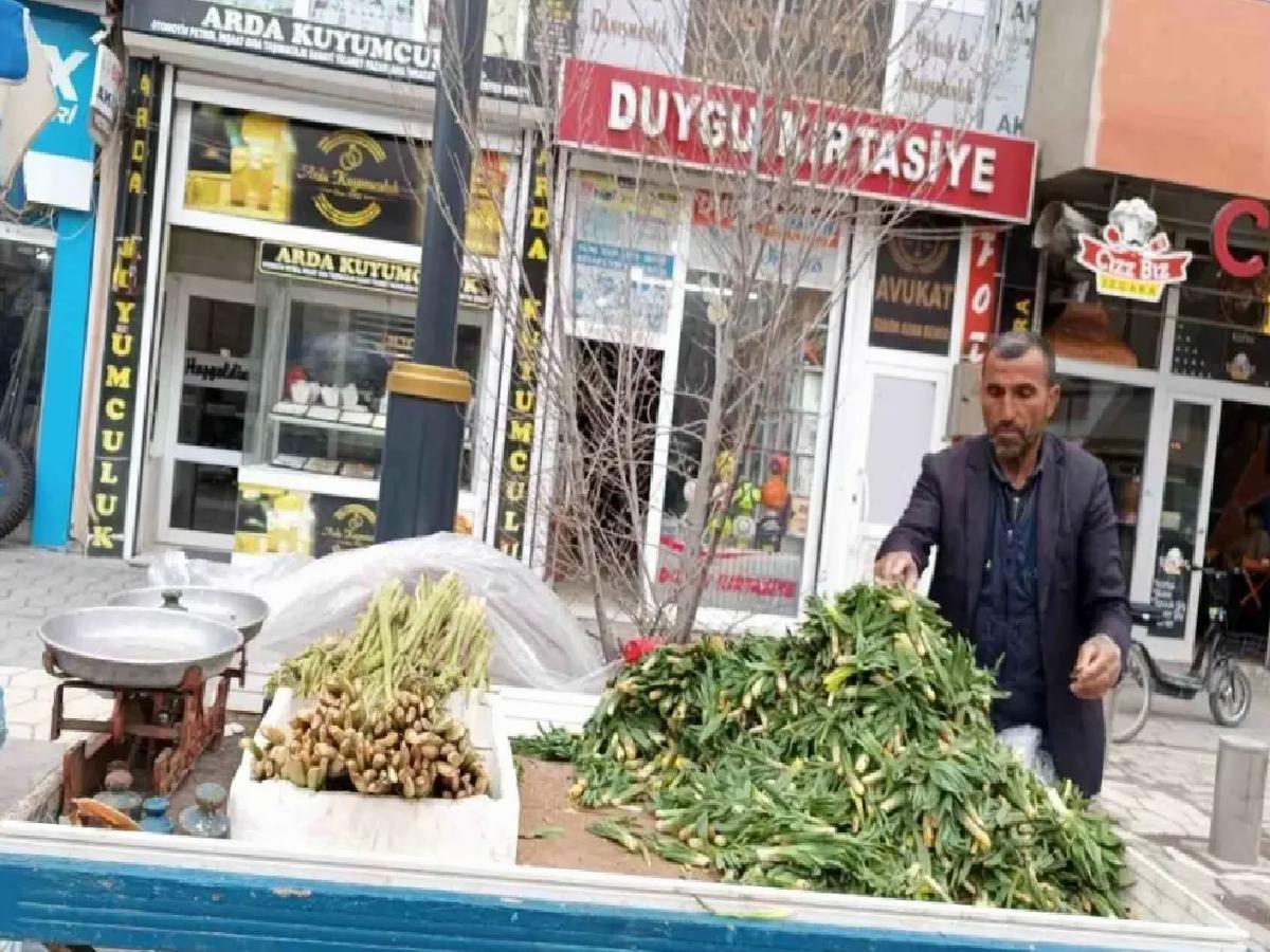 Diyadin’de Bahar İle Işkın ve Çiriş Ticareti Başladı