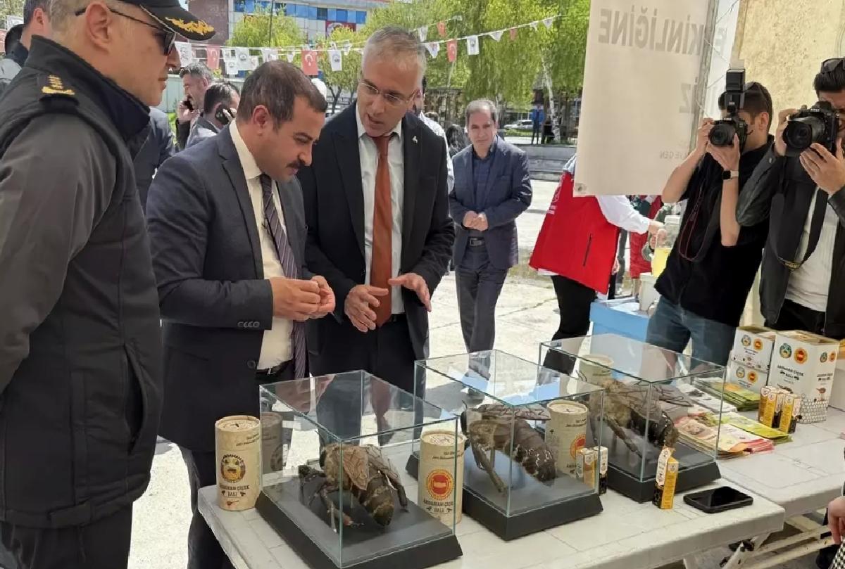 Dünya Arı Günü Ardahan’da Kutlandı