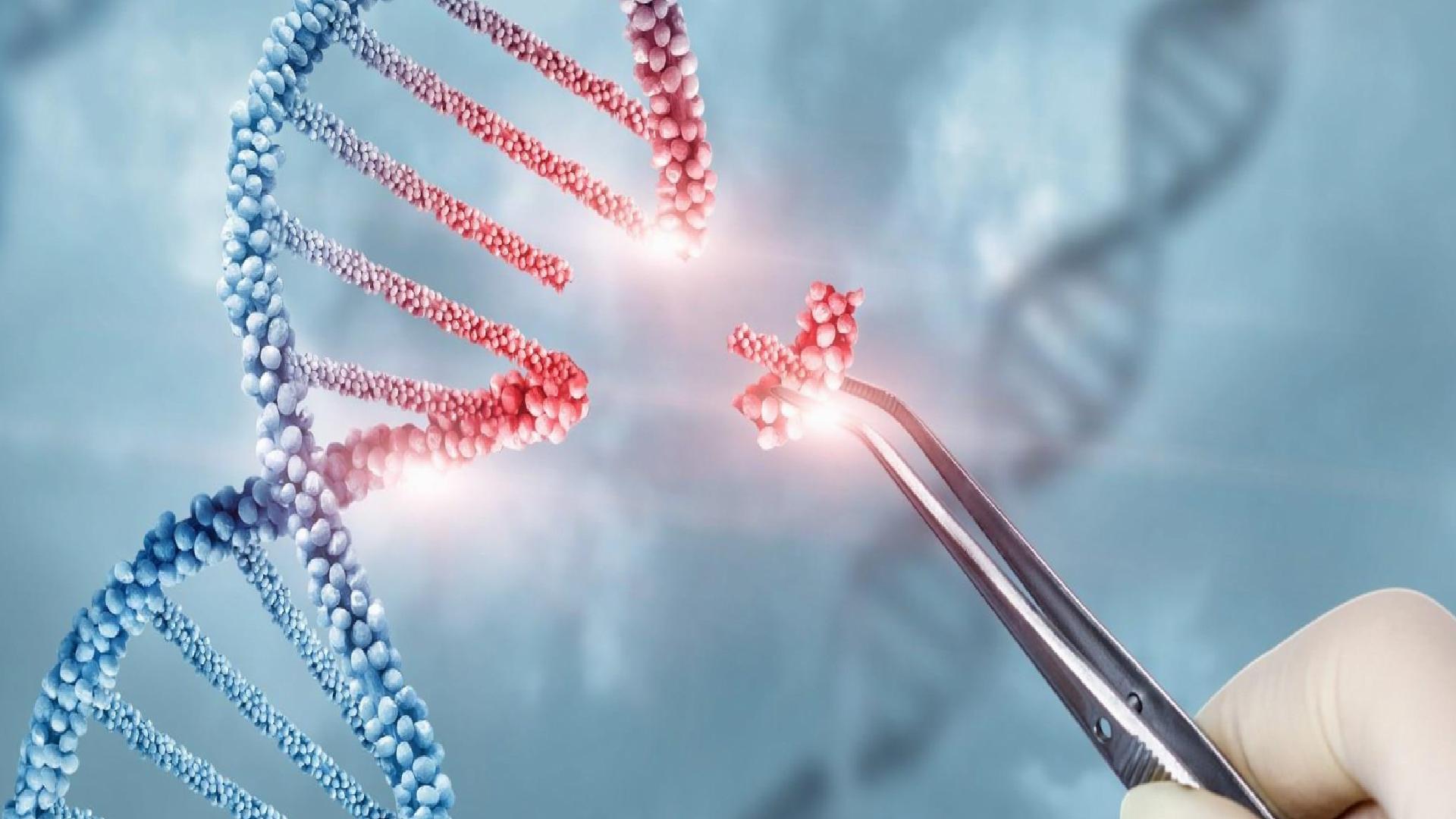 Dünyada ilk kez kişiselleştirilmiş CRISPR gen düzenleme ile bir bebek tedavi edildi!