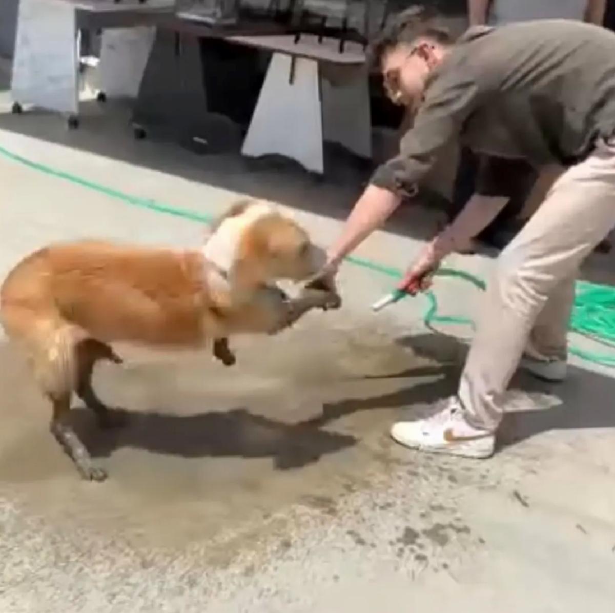Düzce’de Betonla Kaplanan Köpeğe Esnaf Yardımı