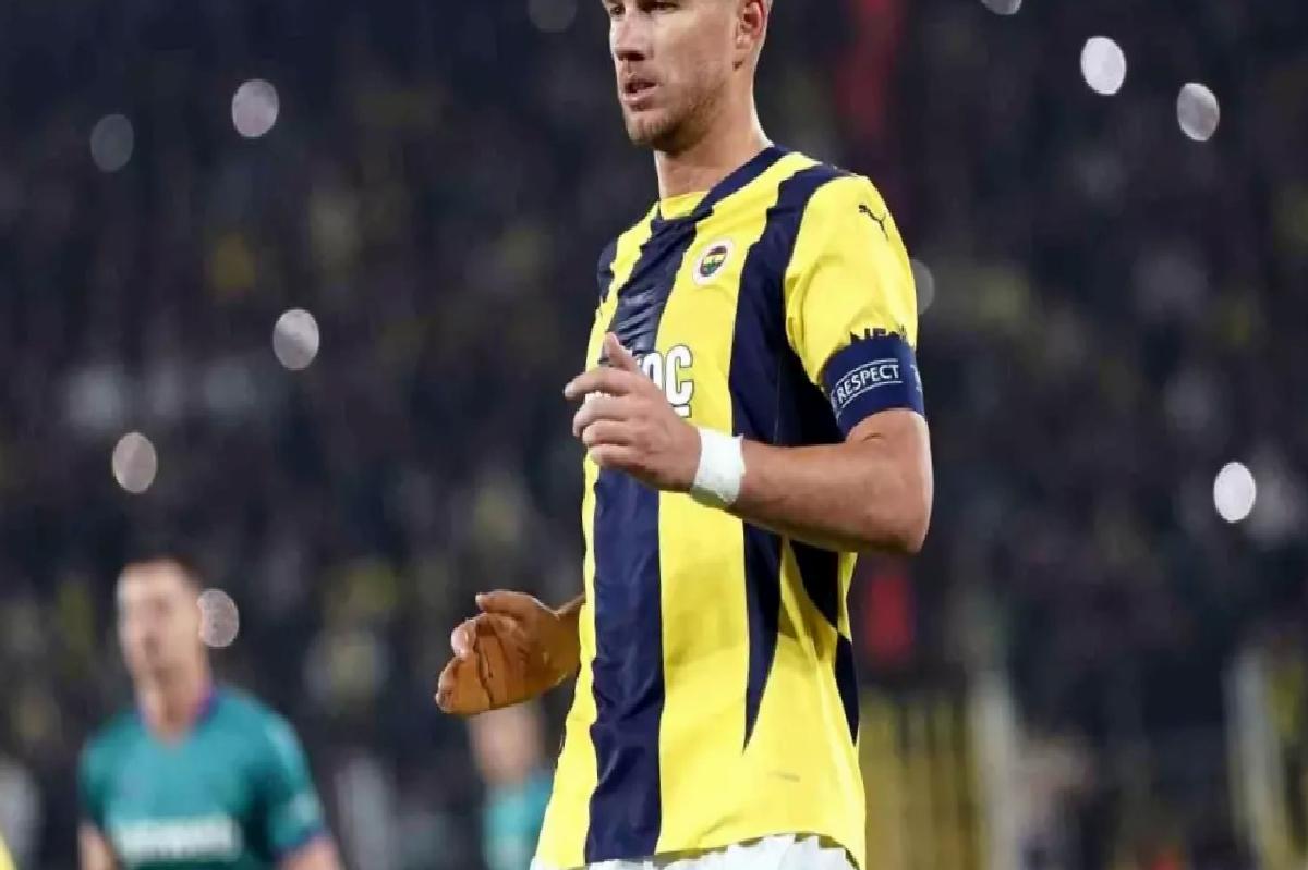 Dzeko ve Hajradinovic, Bosna Hersek Kadrosunda!