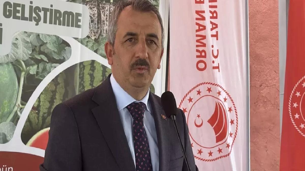 Edirne’de Çiftçilere Karpuz Fidesi Dağıtımı