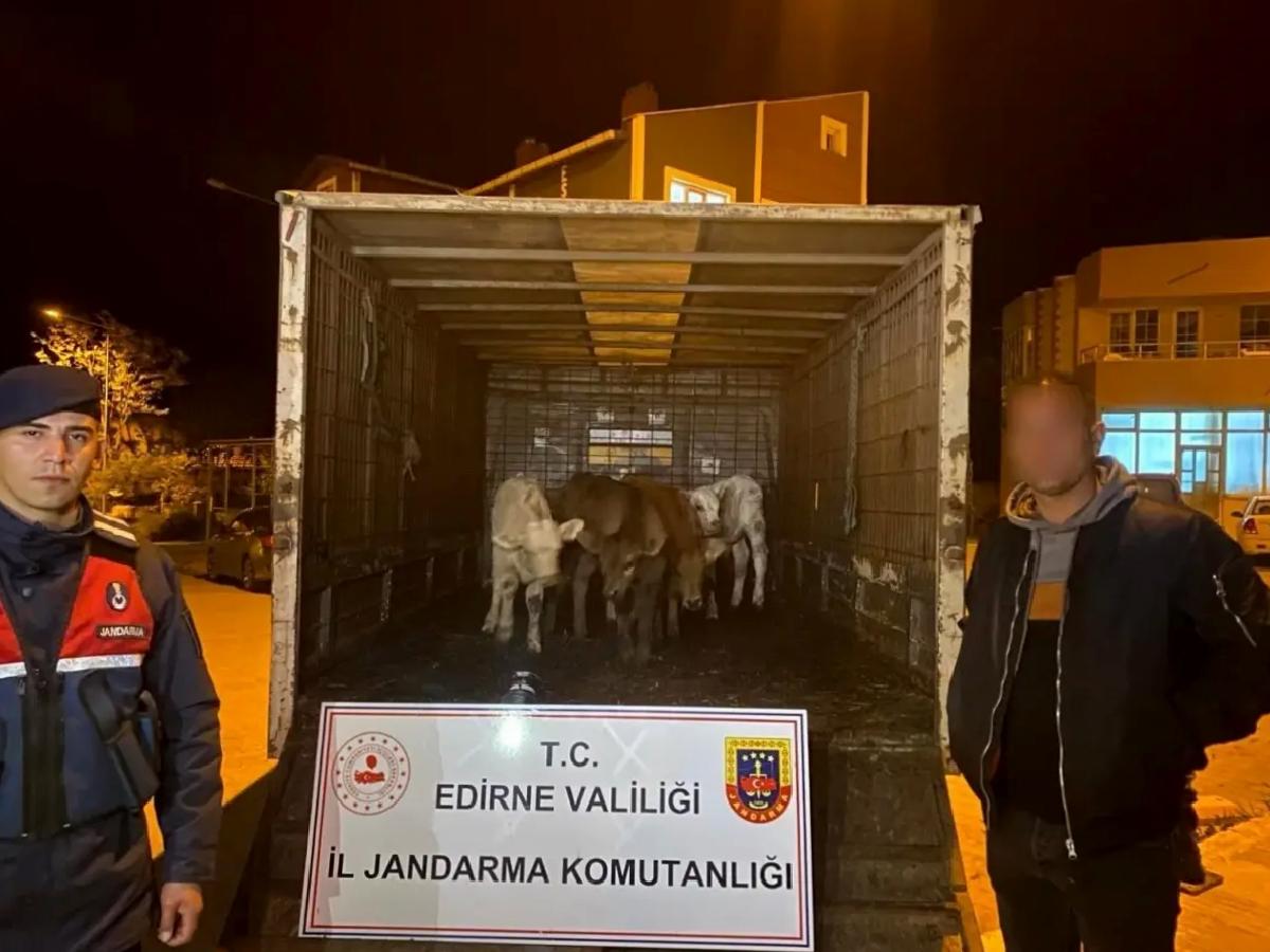 Edirne’de Hayvan Hırsızları Yakalandı